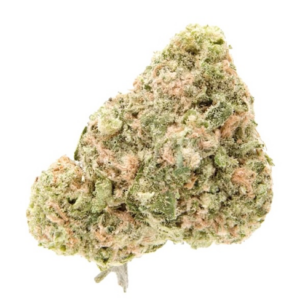 Mimosa